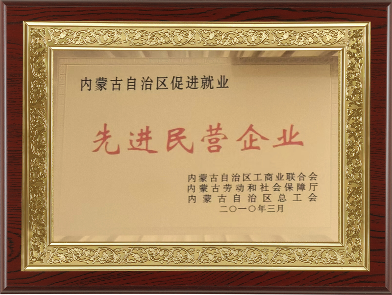 201003 先进民营企业.png