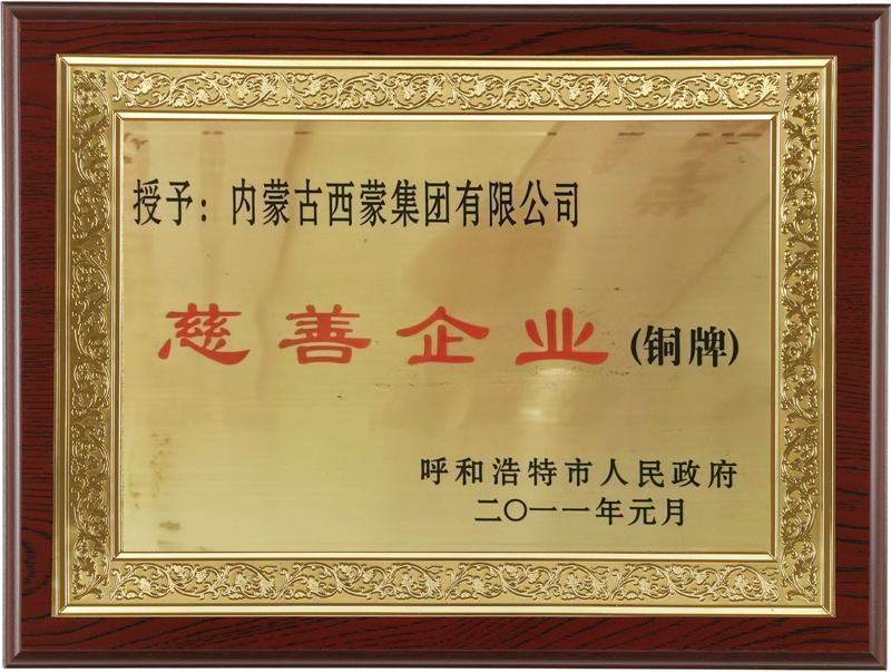 201101 慈善企业（铜牌）.png