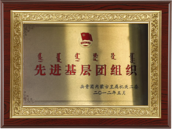 201205 先进基层团组织.png
